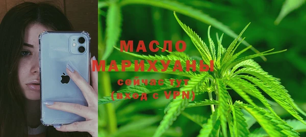 гидра Карпинск