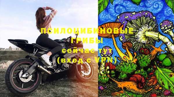 гидра Карпинск