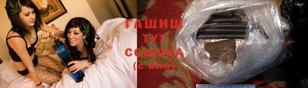 гидра Карпинск