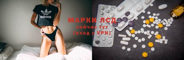 гидра Карпинск