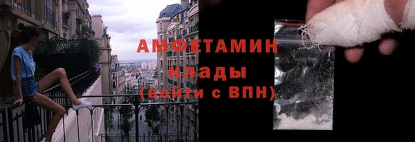 гидра Карпинск