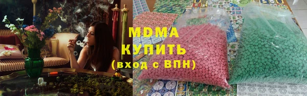 стаф Касимов