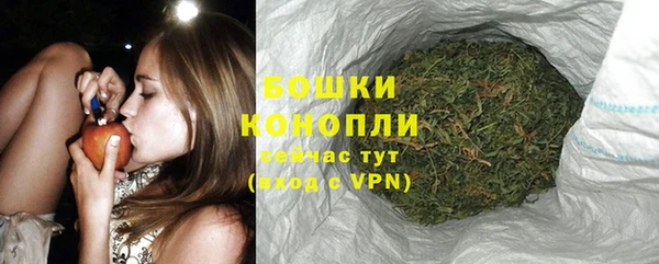 стаф Касимов
