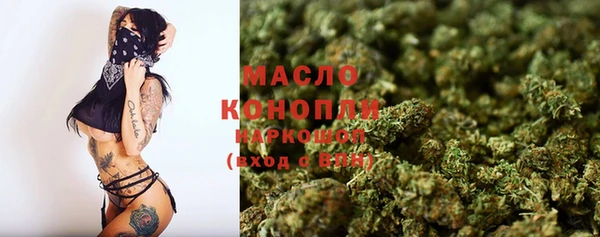 стаф Касимов