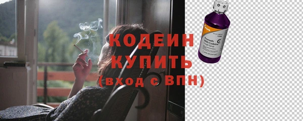 гидра Карпинск