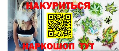 гидра Беслан