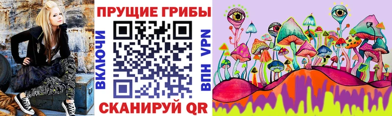 Псилоцибиновые грибы прущие грибы  Реутов 