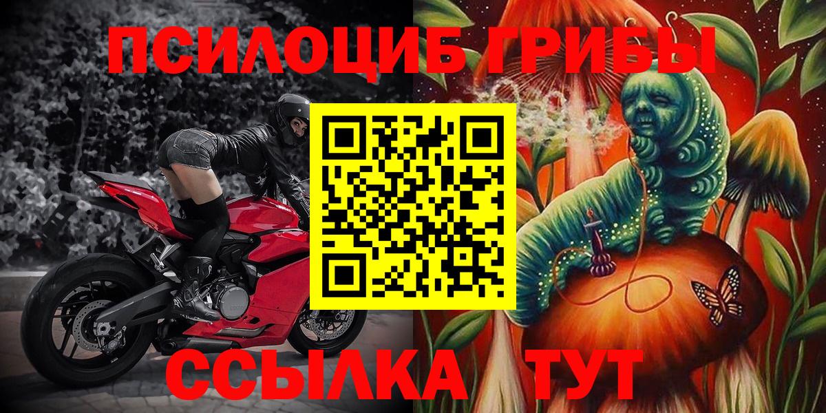 Галлюциногенные грибы Psilocybine cubensis  Реутов 