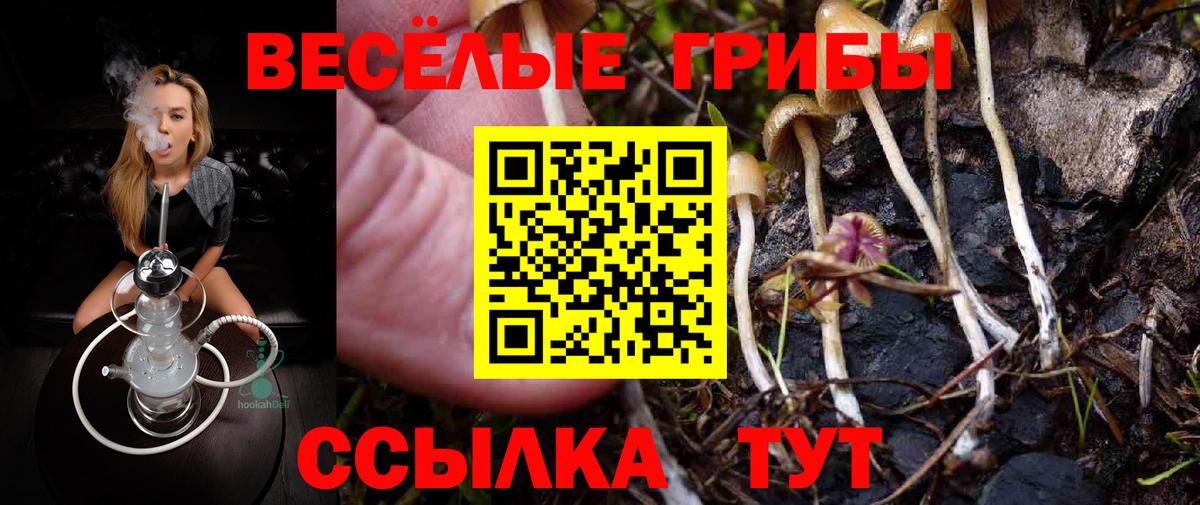 Галлюциногенные грибы Cubensis  Вход с VPN  Реутов  Галлюциногенные грибы Cubensis 